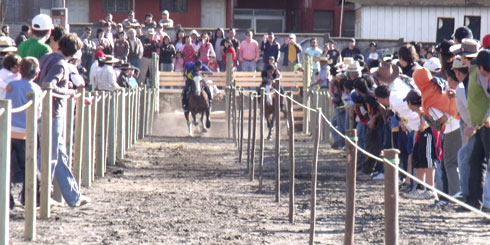 Lajino.cl - Laja, Carreras a la Chilena en Costanera Sur Laguna Señoraza