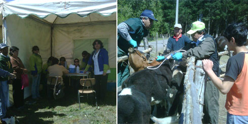 Lajino.cl - Municipio Lajino en terreno visita Los Ciénogos